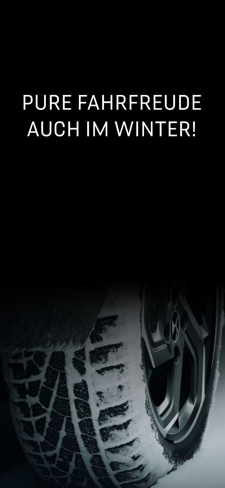 pneumatiques hiver DS